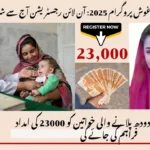 ابھی اپلائی کریں: آغوش پروگرام 2025: آن لائن رجسٹریشن آج سے شروع ہو رہی ہے۔