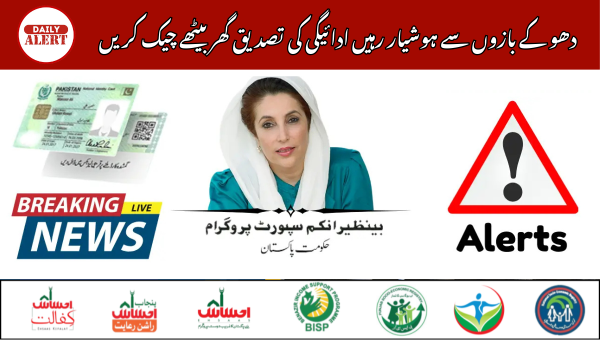 دھو کے بازوں سے ہوشیار رہیں ادائیگی کی تصدیق گھر بیٹھے چیک کریں