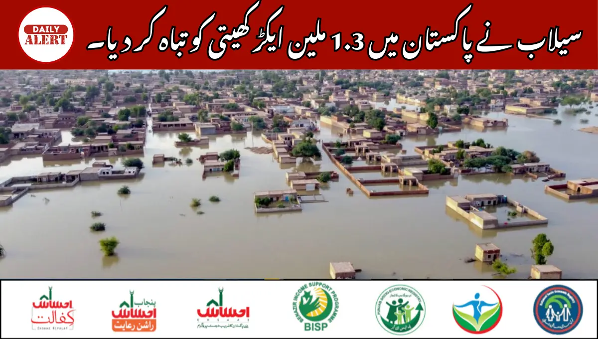 سیلاب نے پاکستان میں 1.3 ملین ایکڑ کھیتی کو تباہ کر دیا۔