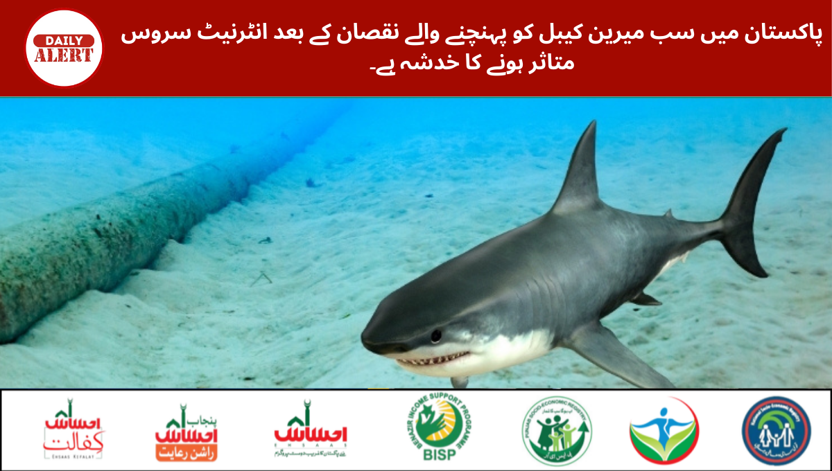 پاکستان میں سب میرین کیبل کو پہنچنے والے نقصان کے بعد انٹرنیٹ سروس متاثر ہونے کا خدشہ ہے۔